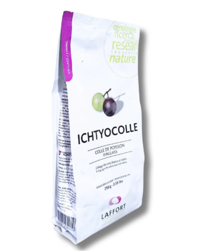 Ichtyocolle