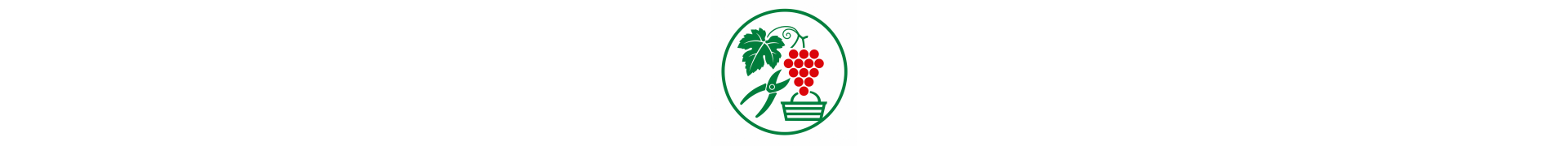 Spécial vendanges